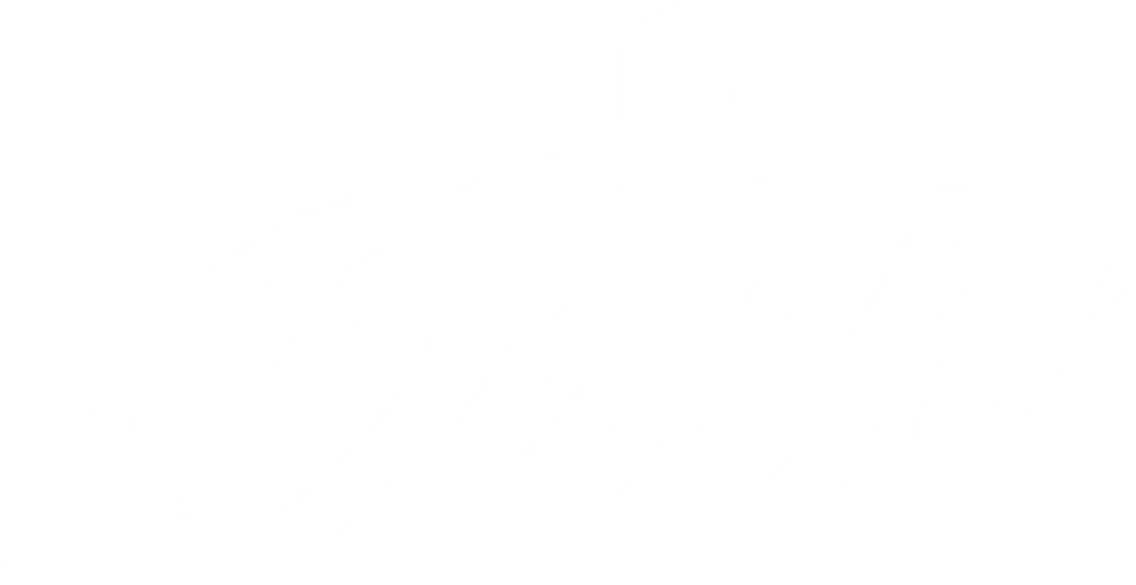 Dash Laundry Logo